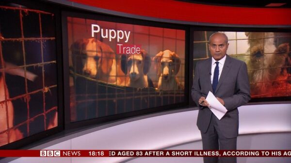 George Alahiah BBC News Presenter 7