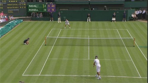 bbc wimbledon tennis