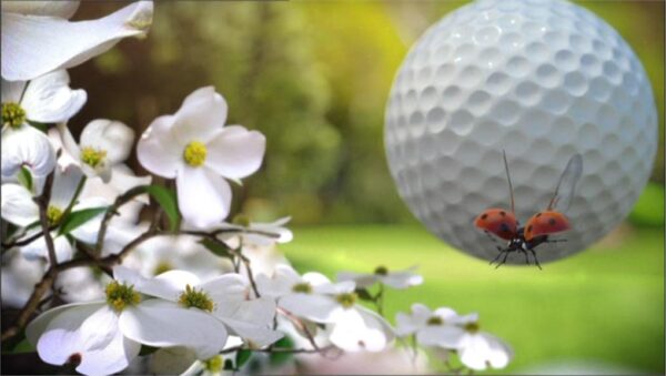 Sky Sports Promo The Masters 2012 3D 04 02 23 07 48