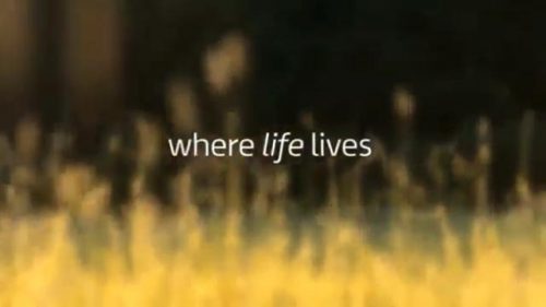 ITV Promo - Where Life Lives