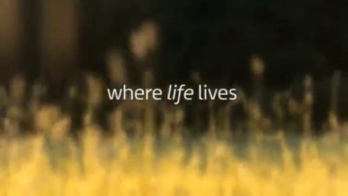 Where Life Lives     