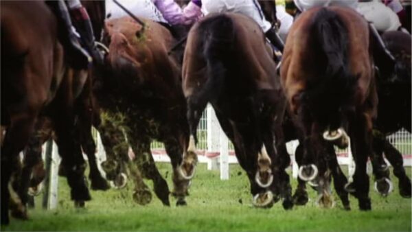 Cheltenham 2013 Channel 4 Sport Promo 13
