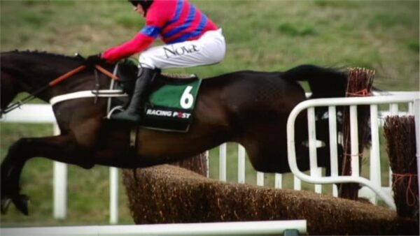 Cheltenham 2013 Channel 4 Sport Promo 15