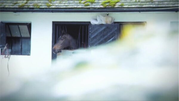 Cheltenham 2013 Channel 4 Sport Promo 3