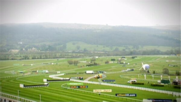 Cheltenham 2013 Channel 4 Sport Promo 5