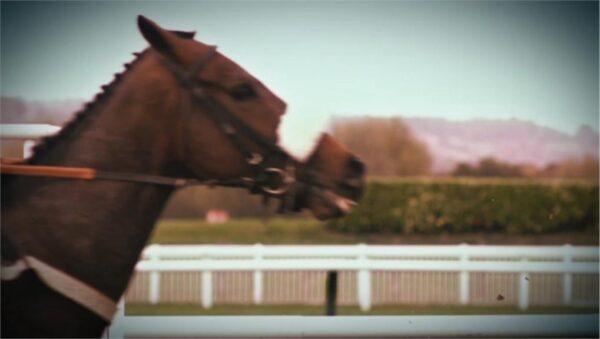 Channel 4 Racing Titles 2013 12
