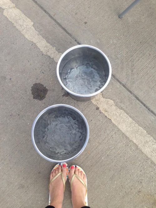 Nat Sawyer Ice Bucket Challege