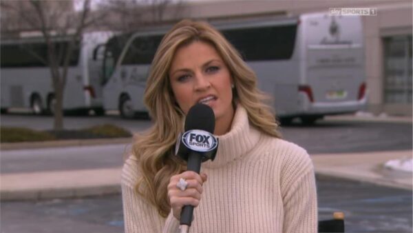Erin Andrews FOX NFL Sidelines Reporter 1