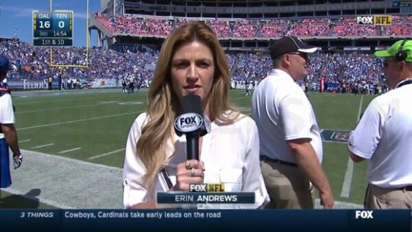 Erin Andrews NFL on Fox Sideline Reporter 10