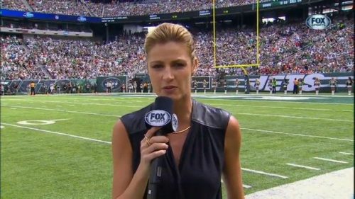 Erin Andrews - NFL on Fox - Sideline Reporter (8)
