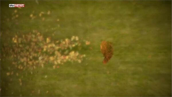 Sky News Promo 2014 The Autumn Statement 11 29 18 59 27