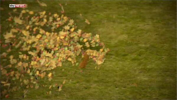 Sky News Promo 2014 The Autumn Statement 11 29 18 59 28