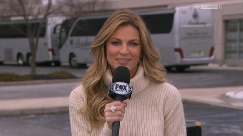 Erin Andrews FOX NFL Sidelines Reporter 