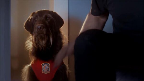 ITV Sport Promo Euro 2016 6