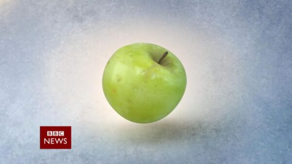 The Budget 2017 BBC News Promo 11 20 19 40 09