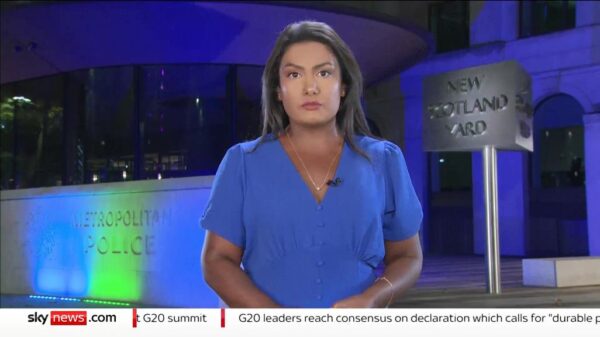 Ashna Hurynag on Sky News