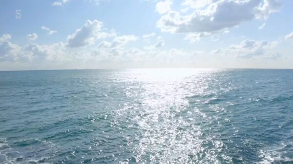 5 News Ident Sea 1