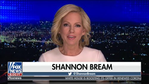 Shannon Bream - Fox News Presenter (1)
