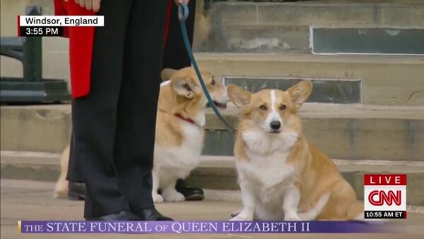 The Queens Funeral CNN News Coverage 13