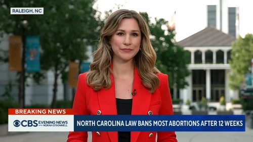 Caitlin Huey Burns on CBS News