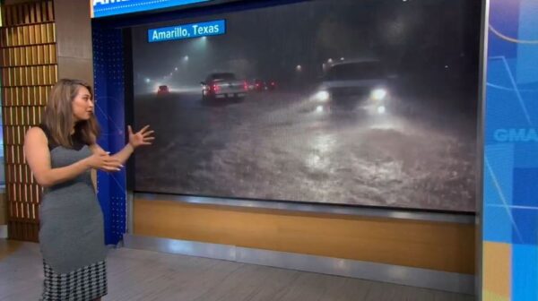 Ginger Zee ABC Weather 2