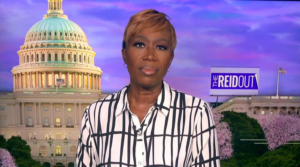 Joy Reid • Biography & Images