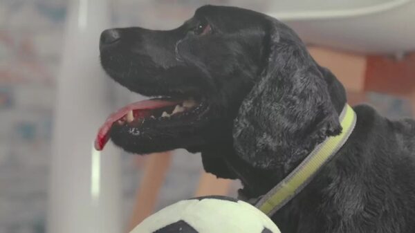 Euro 2024 STV Promo 17 1