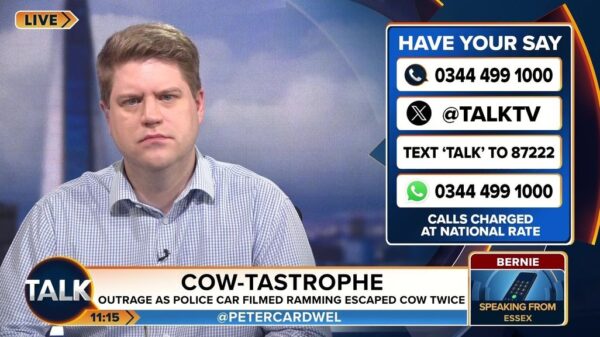Cow Tastrophe