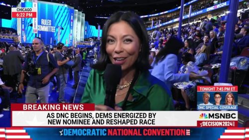 Democratic National Convention 2024 - MSNBC (4)